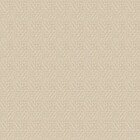 Кельн 04, персик